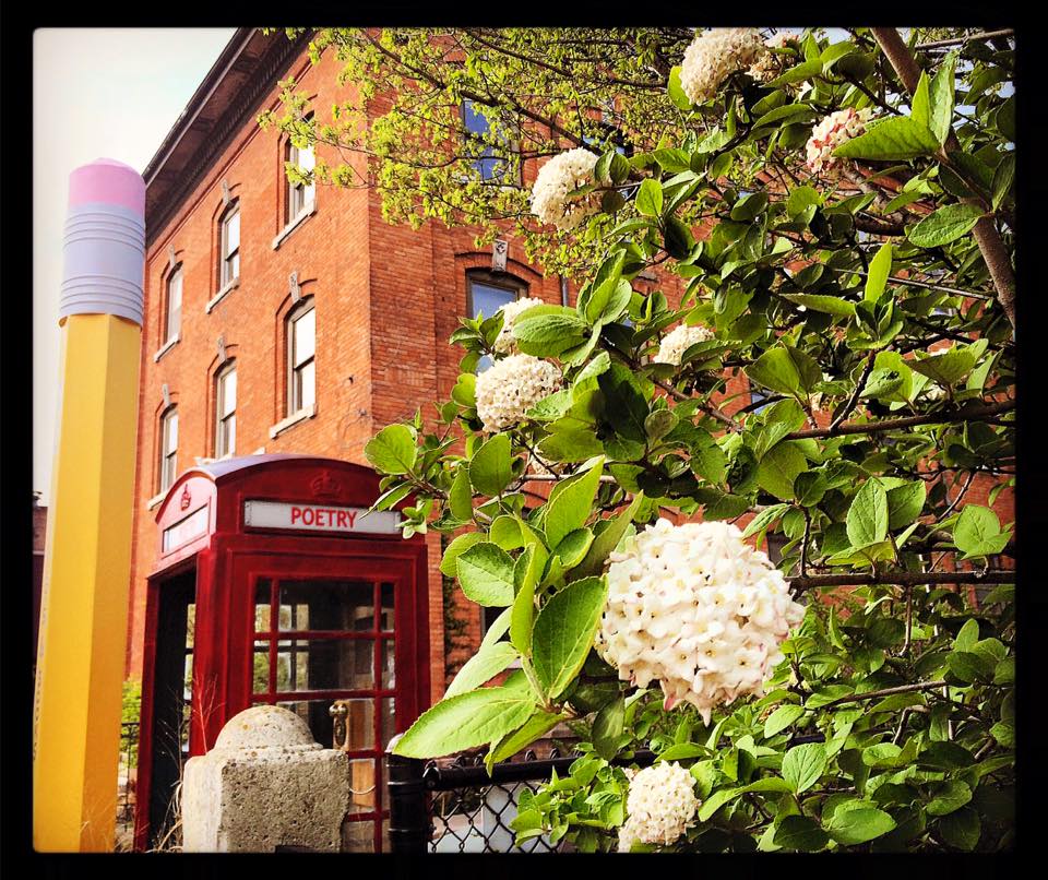 Poetry Rocks! | Kids Out and About Boston