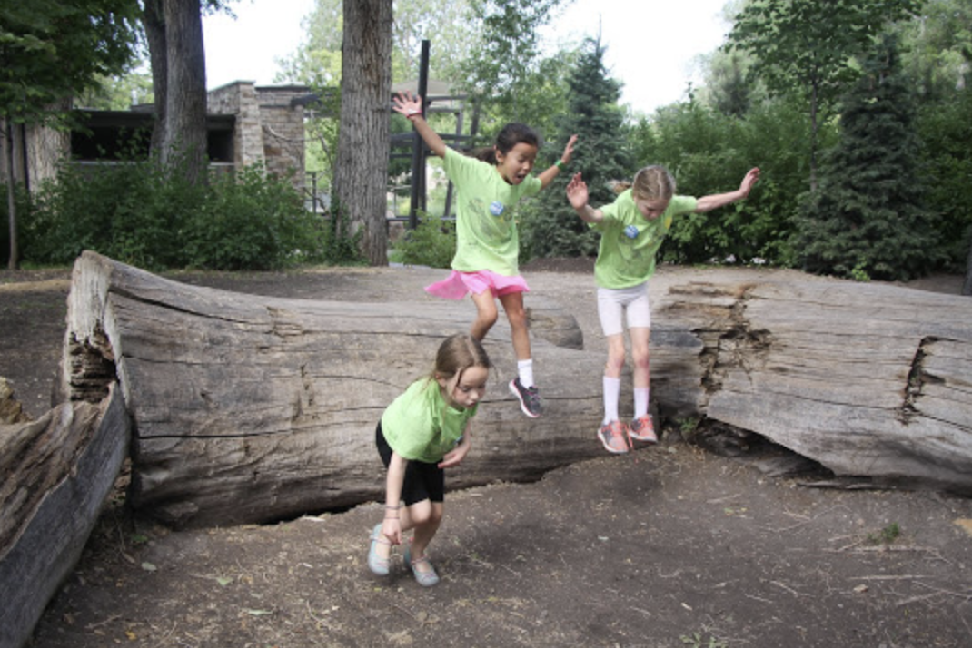 Backyard Adventurers Virtual Camp Grades K-5th | Kids Out and About Queens