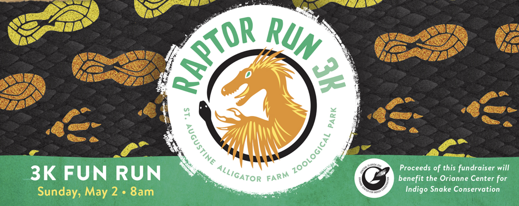 3K Raptor Run - St. Augustine Alligator Farm | Kids Out and About ...