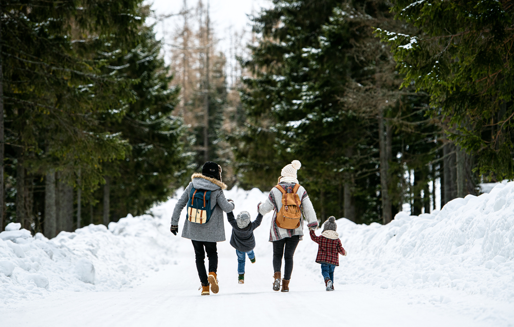 Master Guide to Winter Fun in and around Rochester, NY