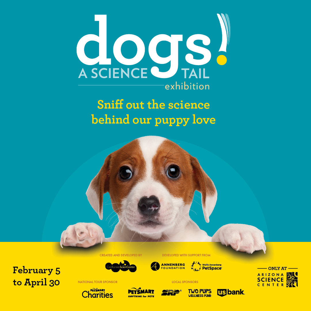 Science Tails Dogs! A Science Tail | Kids Out and About Phoenix