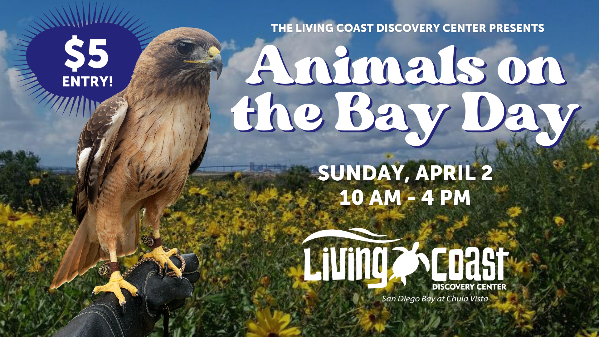 Eagle Presentation - Living Coast Discovery Center