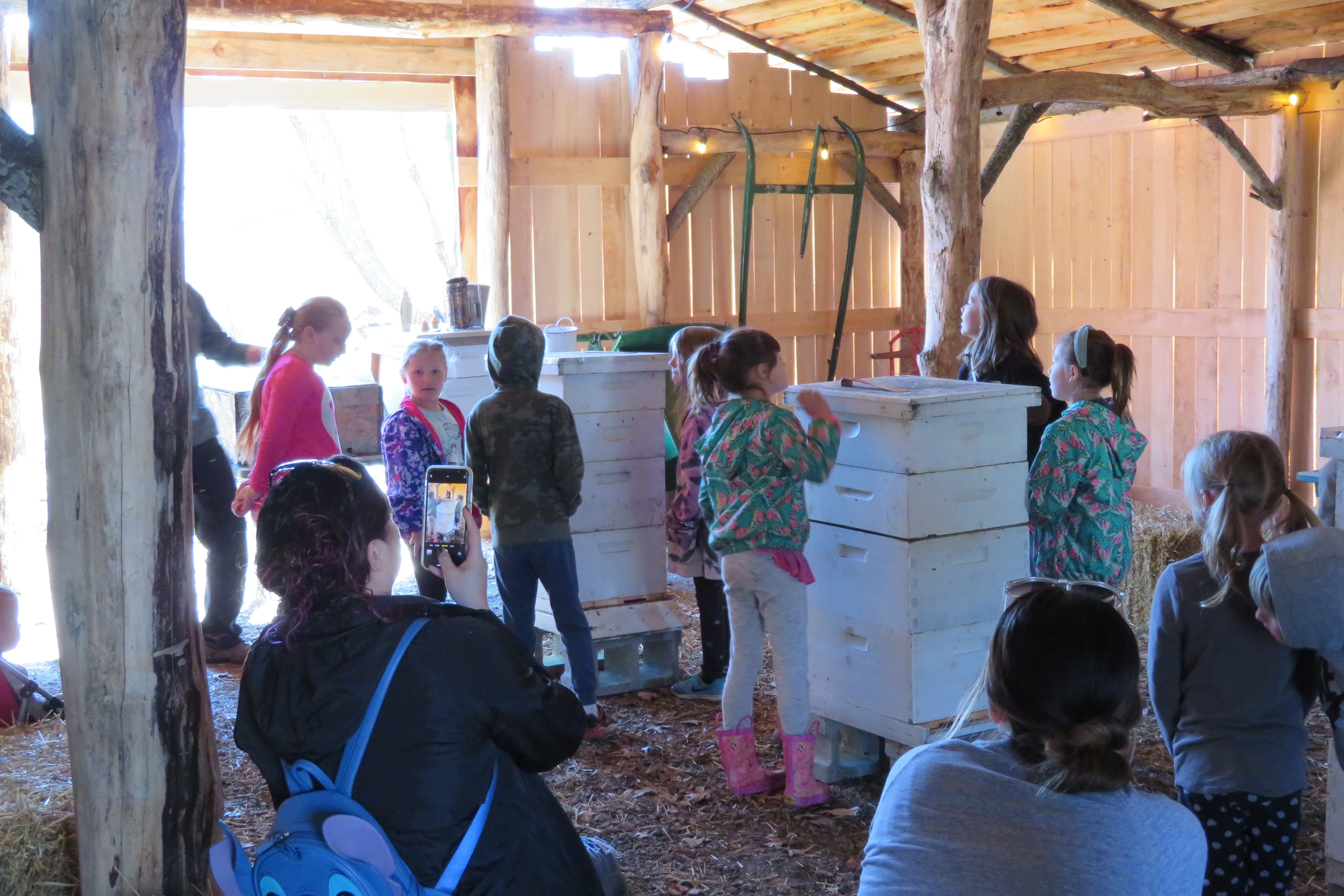 Learn about honey bees | Kids Out and About Rochester