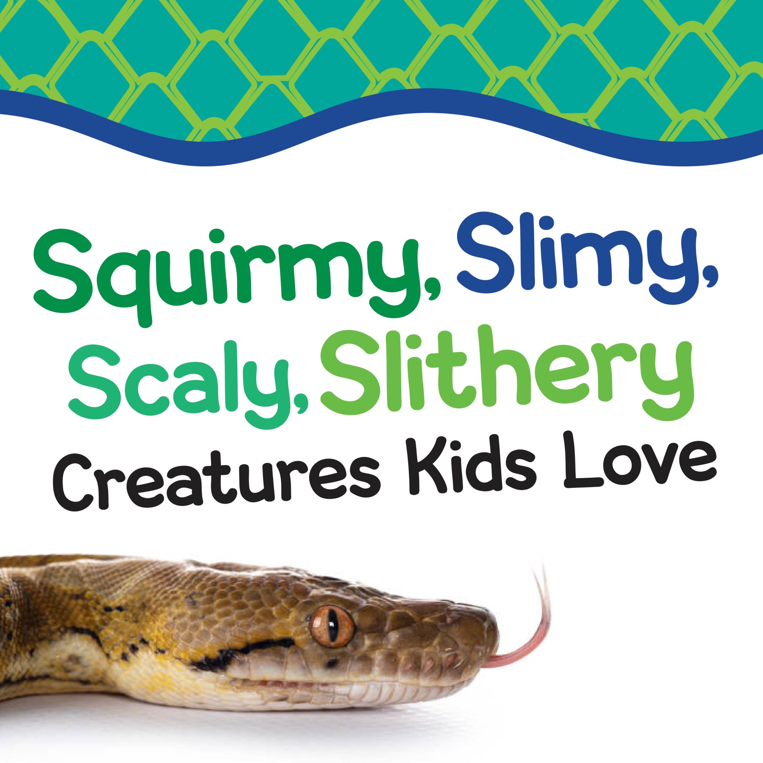 Slithry Squirmy, Slimy, Scaly, Slithery Creatures Kids Love | Kids Out and ...