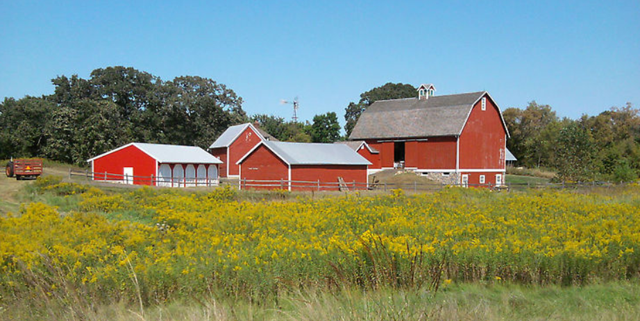 Springtime Farm - Mill City Museum | Kids Out and About Minneapolis/St ...