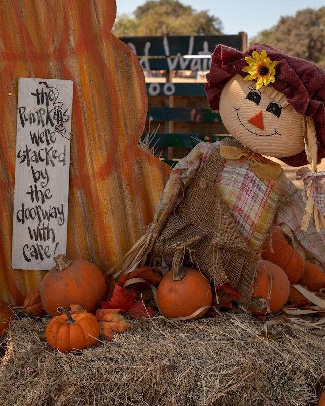 Love Creek Orchards | Kids Out and About San Antonio