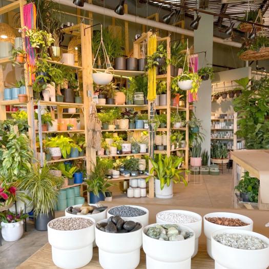 PlantHouse - Decatur, GA | Kids Out and About Atlanta