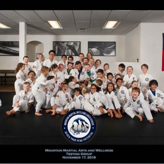 Mountain Martial Arts & Wellness Center | Kids Out and About