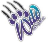 WILD All-Stars Cheerleading