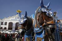 Austin Oktoberfest — Family fun in German Texan Heritage Society · Austin, TX