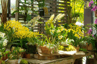 Tales & Tunes - San Diego Botanic Garden