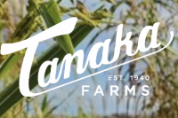 Tanaka Farms Pumpkin Patch & Corn Maze — Outdoors & nature in Tanaka Farms